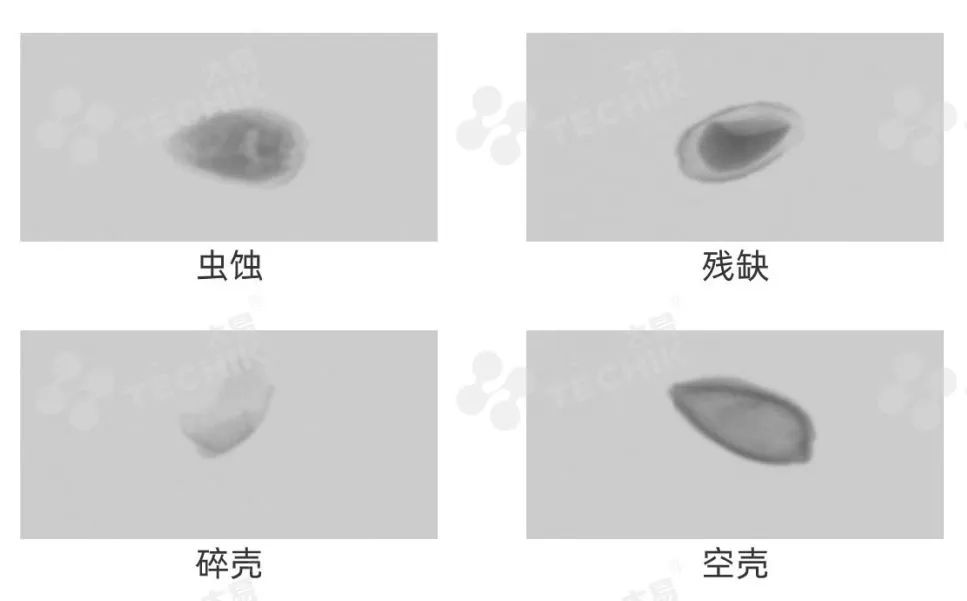 2024新澳门2024原料网