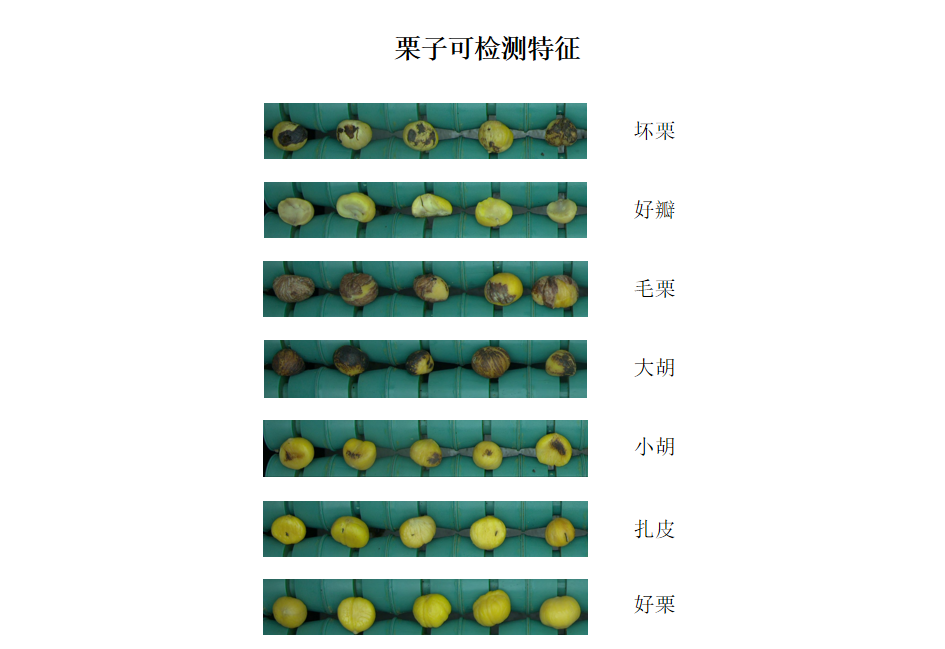 2024新澳门2024原料网