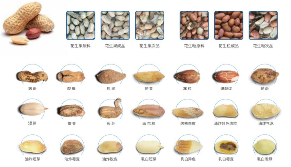 2024新澳门2024原料网